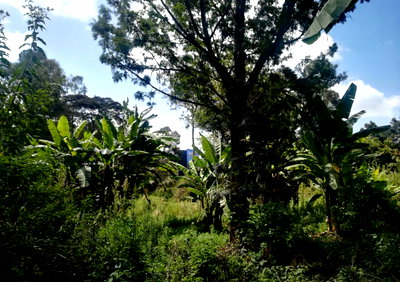 20-Acre Langata Gem for KSh 75M