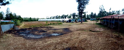 Quarter Acre Plot in Ngong at KSh 6M