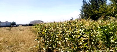 Land for Sale - Image 3