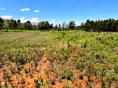 One Acre Land for Sale in Kikuyu, Lusigetti- Kiambu County. - Image 6