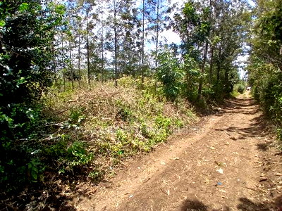 Distressed! A Full Eighth Acre in Kaurrai, Upper Matasia - Image 1
