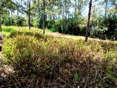 Distressed! A Full Eighth Acre in Kaurrai, Upper Matasia - Image 2
