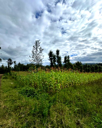 KSh 6M Quarter Acre Plot