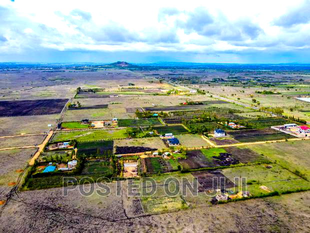 Affordable Prime Plots