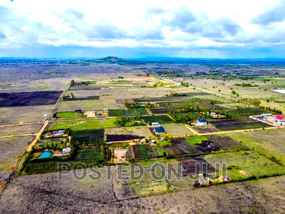 Affordable Prime Plots - Image 2