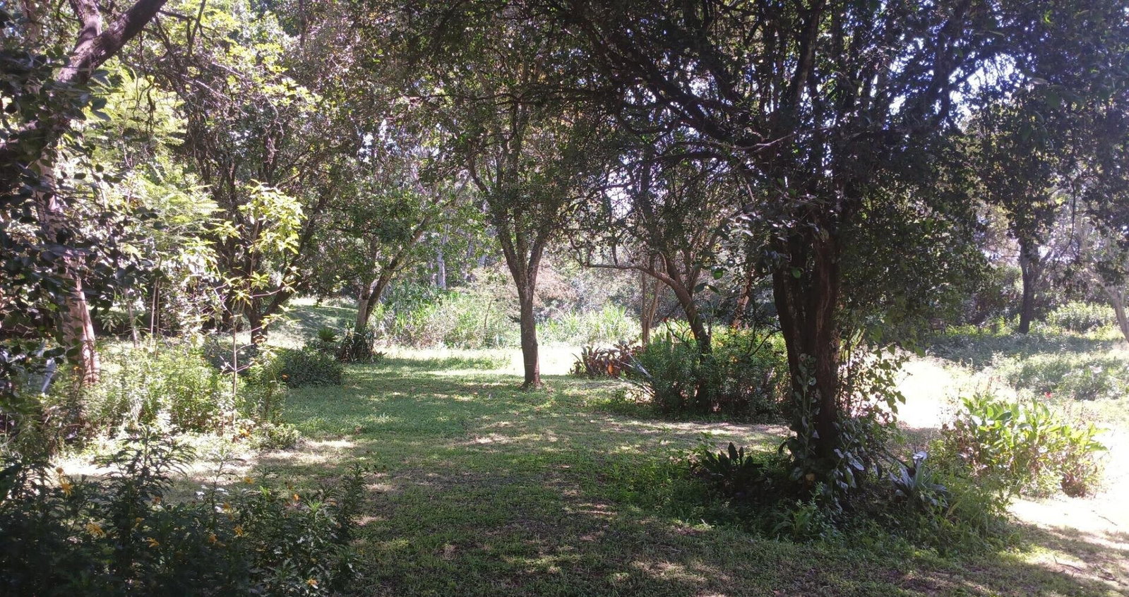 5-Acre Haven in Karen