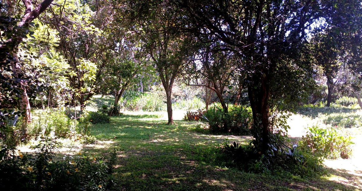5-Acre Haven in Karen