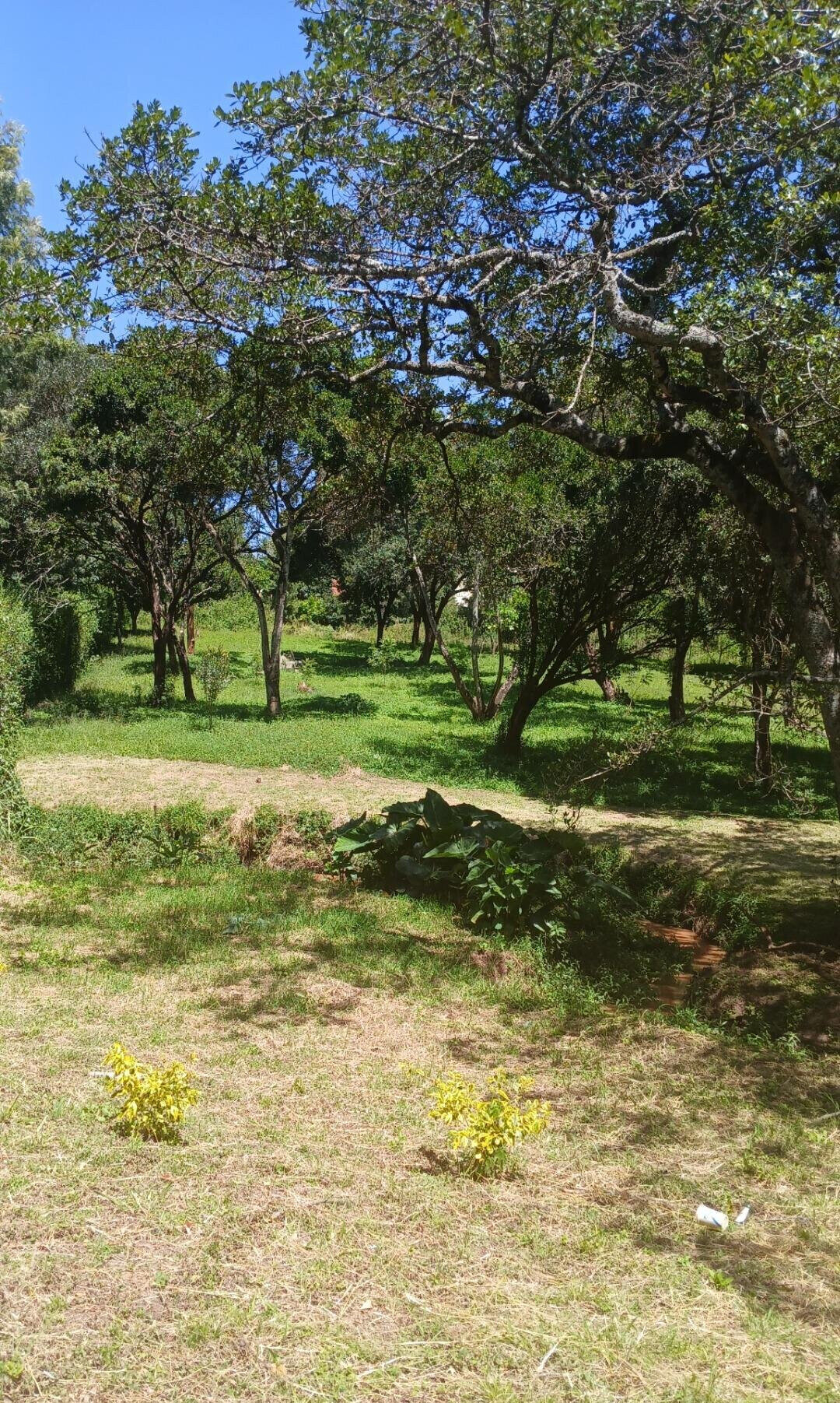 5-Acre Haven in Karen