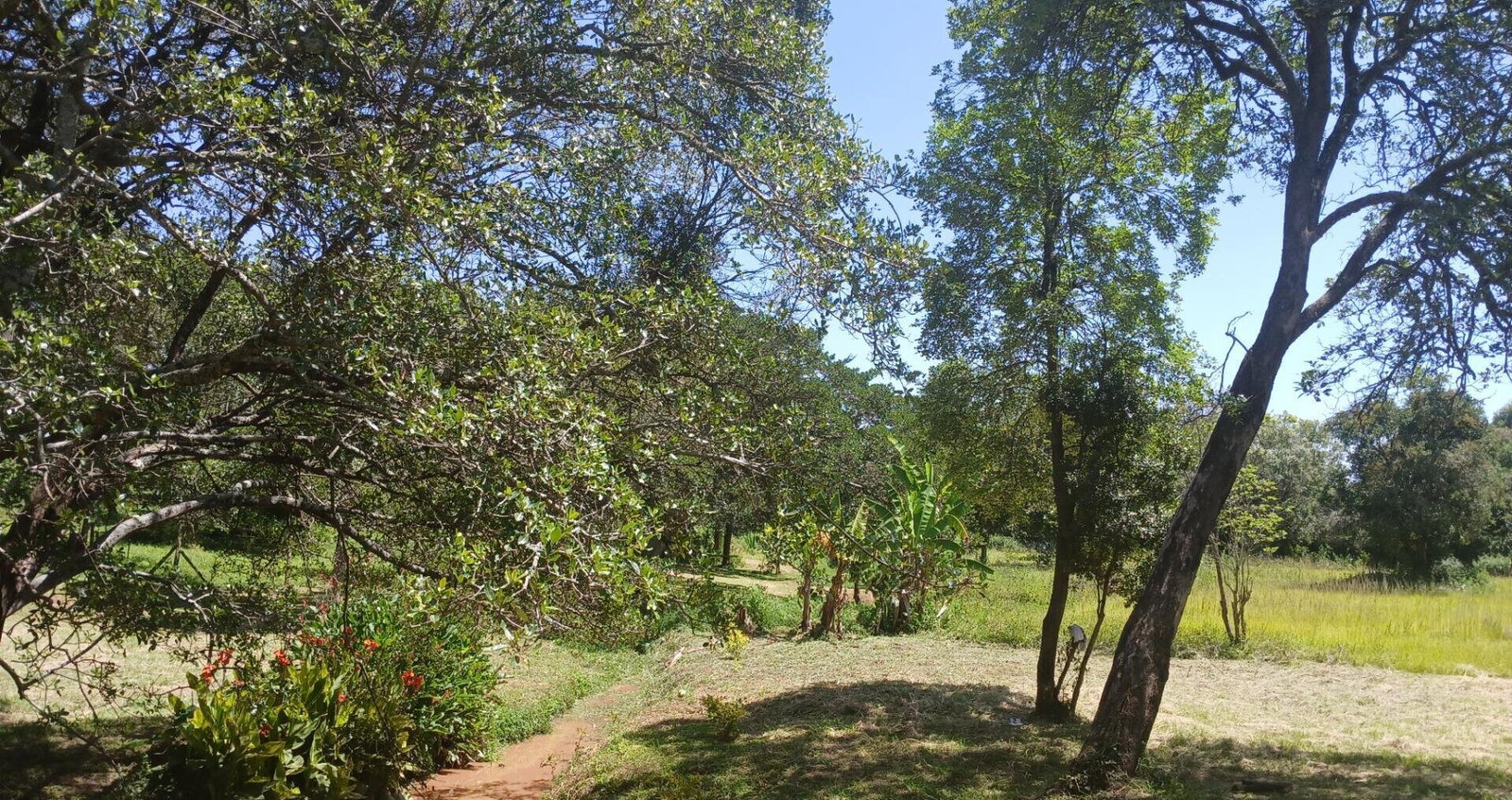 5-Acre Haven in Karen