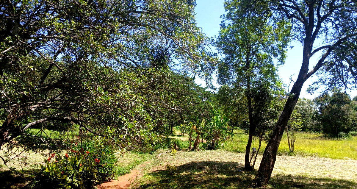 5-Acre Haven in Karen