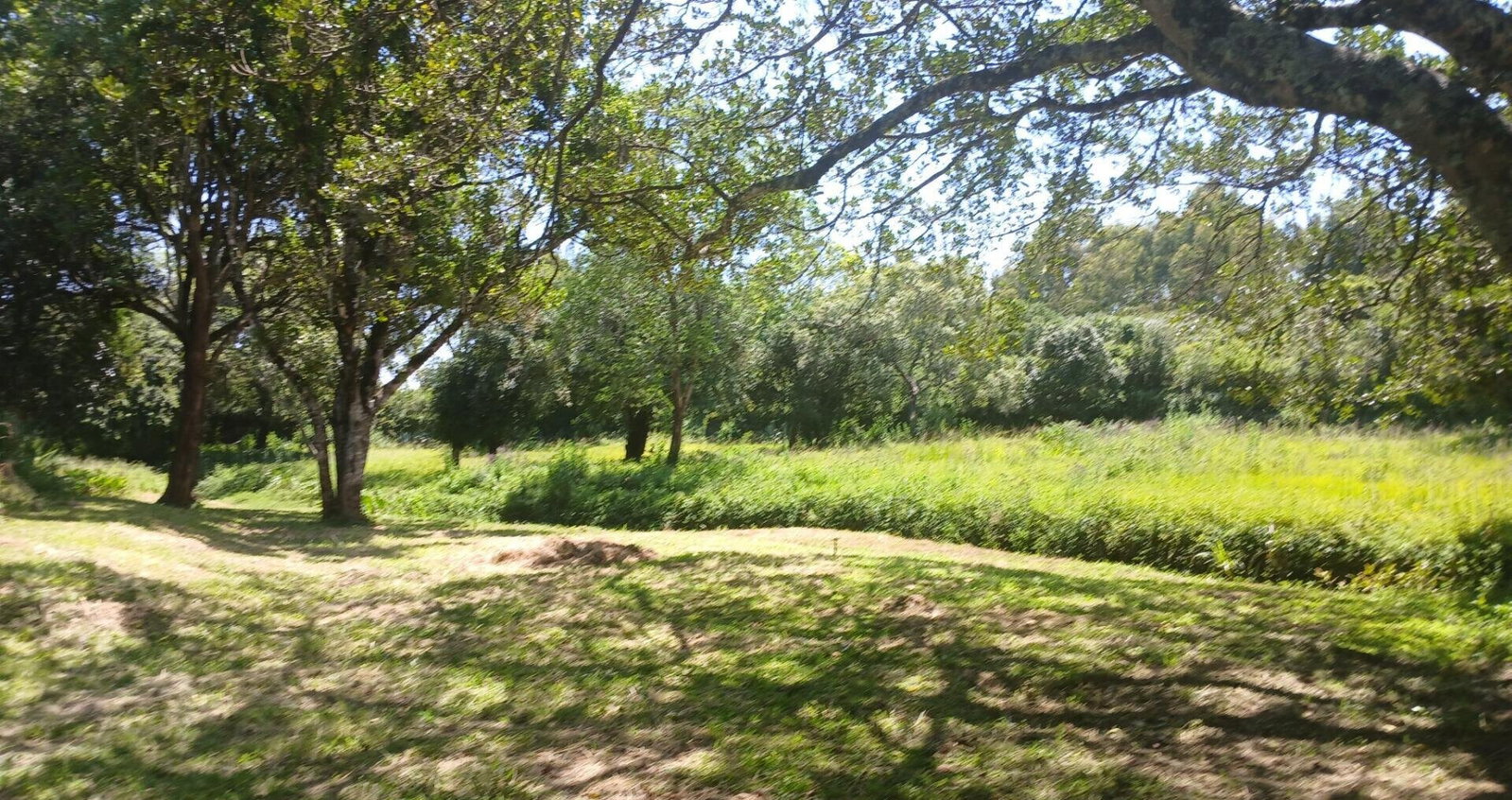 5-Acre Haven in Karen