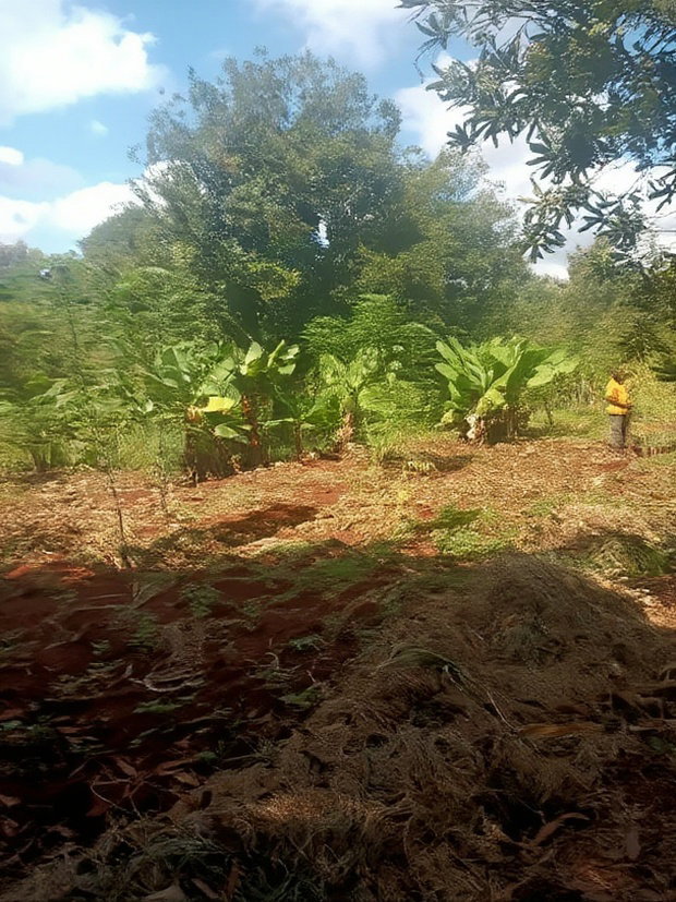 2 Acres for Sale in Kenyatta Road Kimunyu Area