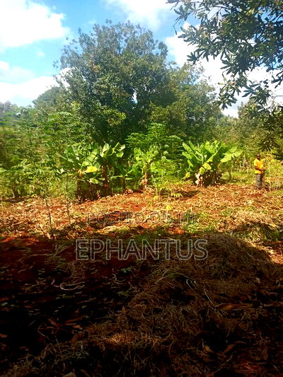 2 Acres for Sale in Kenyatta Road Kimunyu Area - Image 2