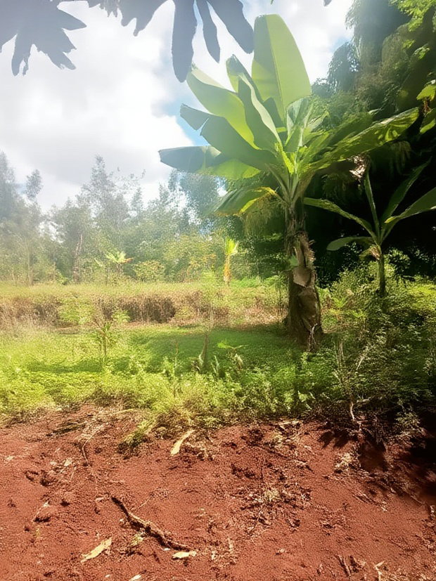 2 Acres for Sale in Kenyatta Road Kimunyu Area