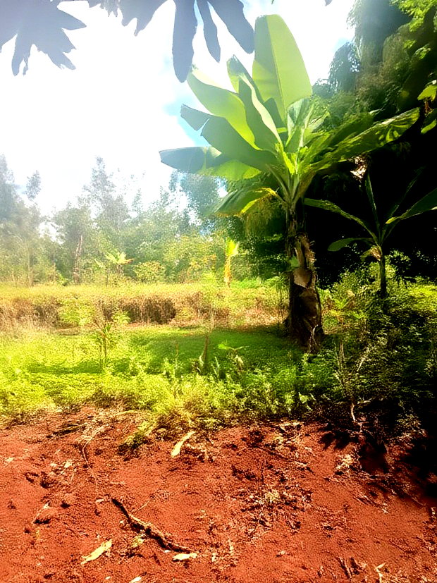 2 Acres for Sale in Kenyatta Road Kimunyu Area