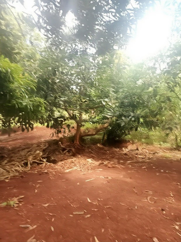 2 Acres for Sale in Kenyatta Road Kimunyu Area