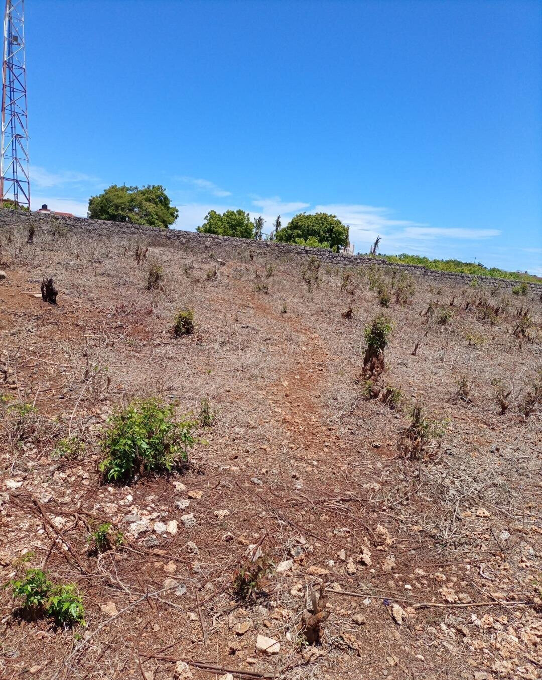 1/2 Acre Shanzu Plot for KSh 23M