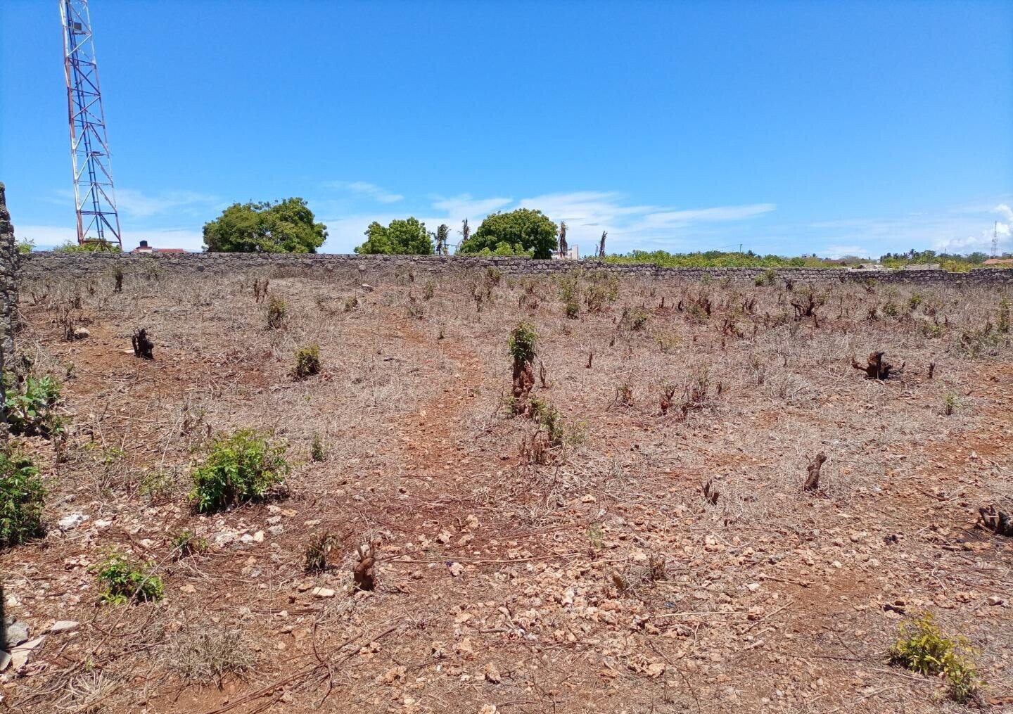 1/2 Acre Shanzu Plot for KSh 23M