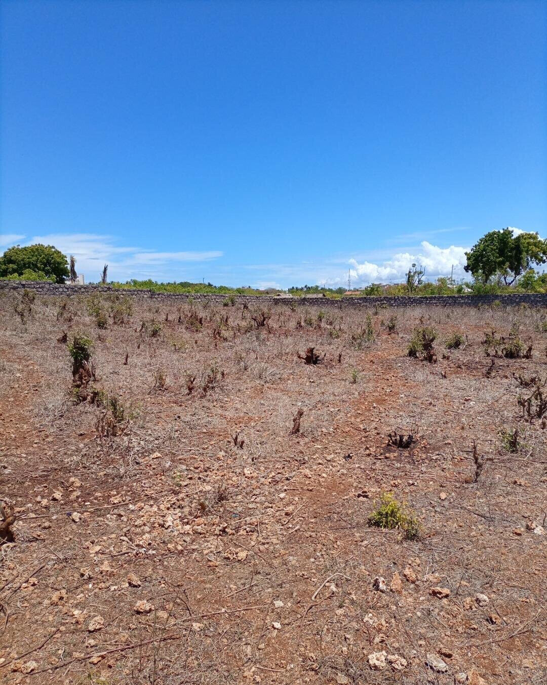 1/2 Acre Shanzu Plot for KSh 23M