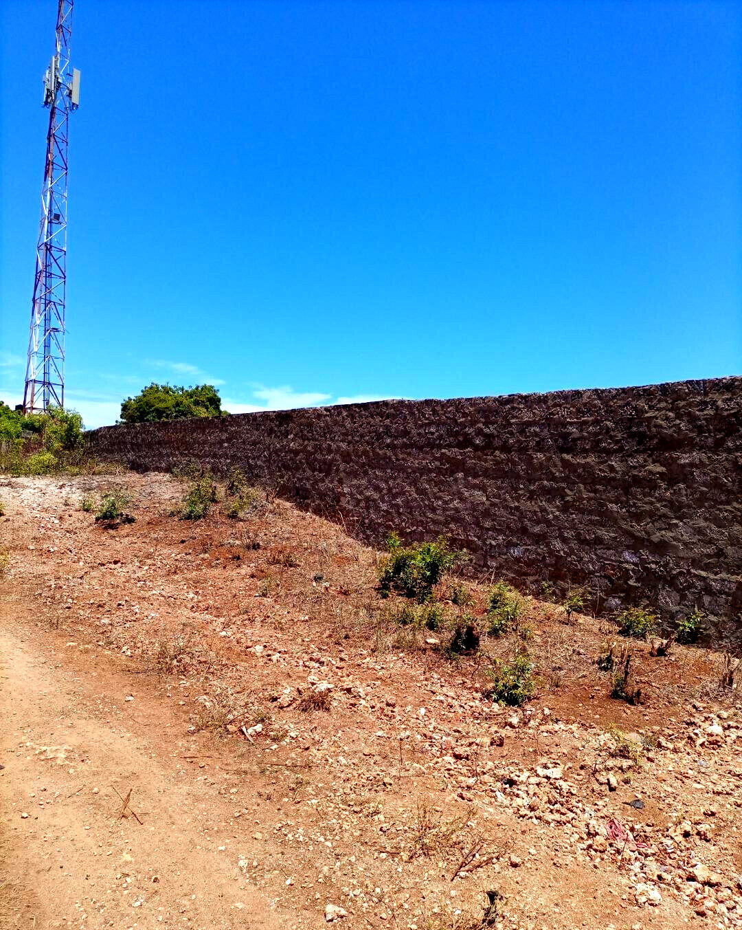 1/2 Acre Shanzu Plot for KSh 23M