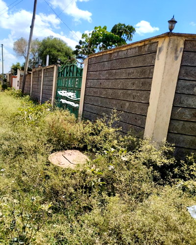 1/8 Acre Garden Plot in Kamakis