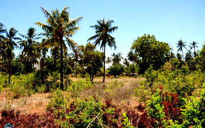 50x100 Plot in Kilifi for KSh 475K