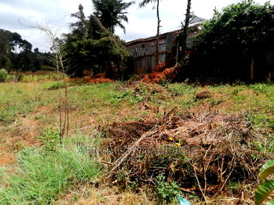 50x100 Ft Plot for Sale in Moi Girls Kamangu - Image 5