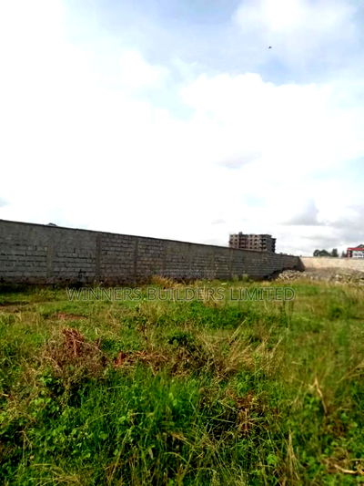 1/2 Acre Plot for Sale at Juja Town - Image 11