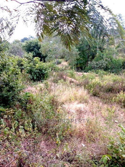 9 Acres ,Katheuni, Matinyani - Image 2