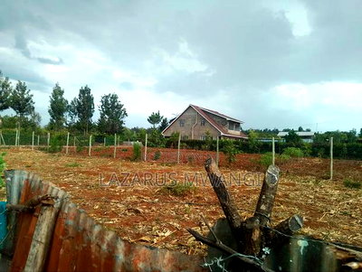 3bdrm Bungalow in Kirwara, Mutithi for sale - Image 14