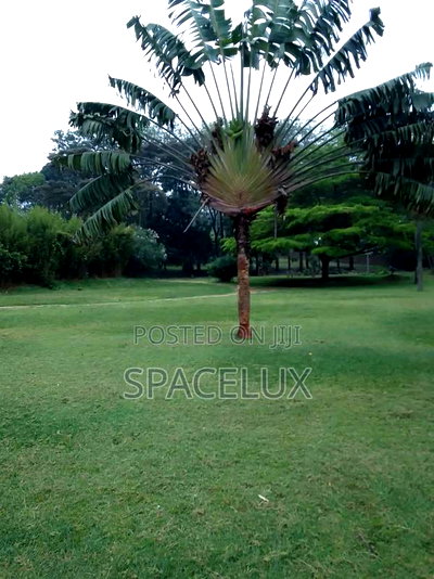 1 Acre Kilimani Restaurant Space - Image 3