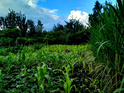 Residential Eighth Acre Plot in Ongata Rongai at Kandisi - Image 2