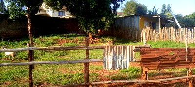 1 Acre in Kangemi for Sale - Image 5
