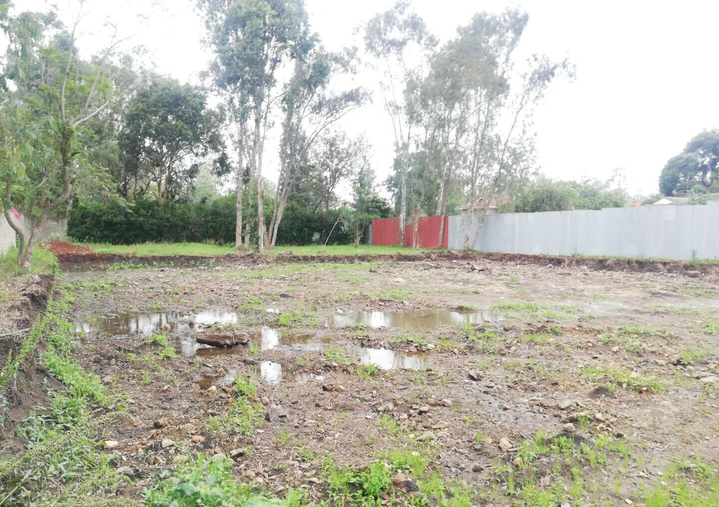 Garden Oasis on 0.44 Acre