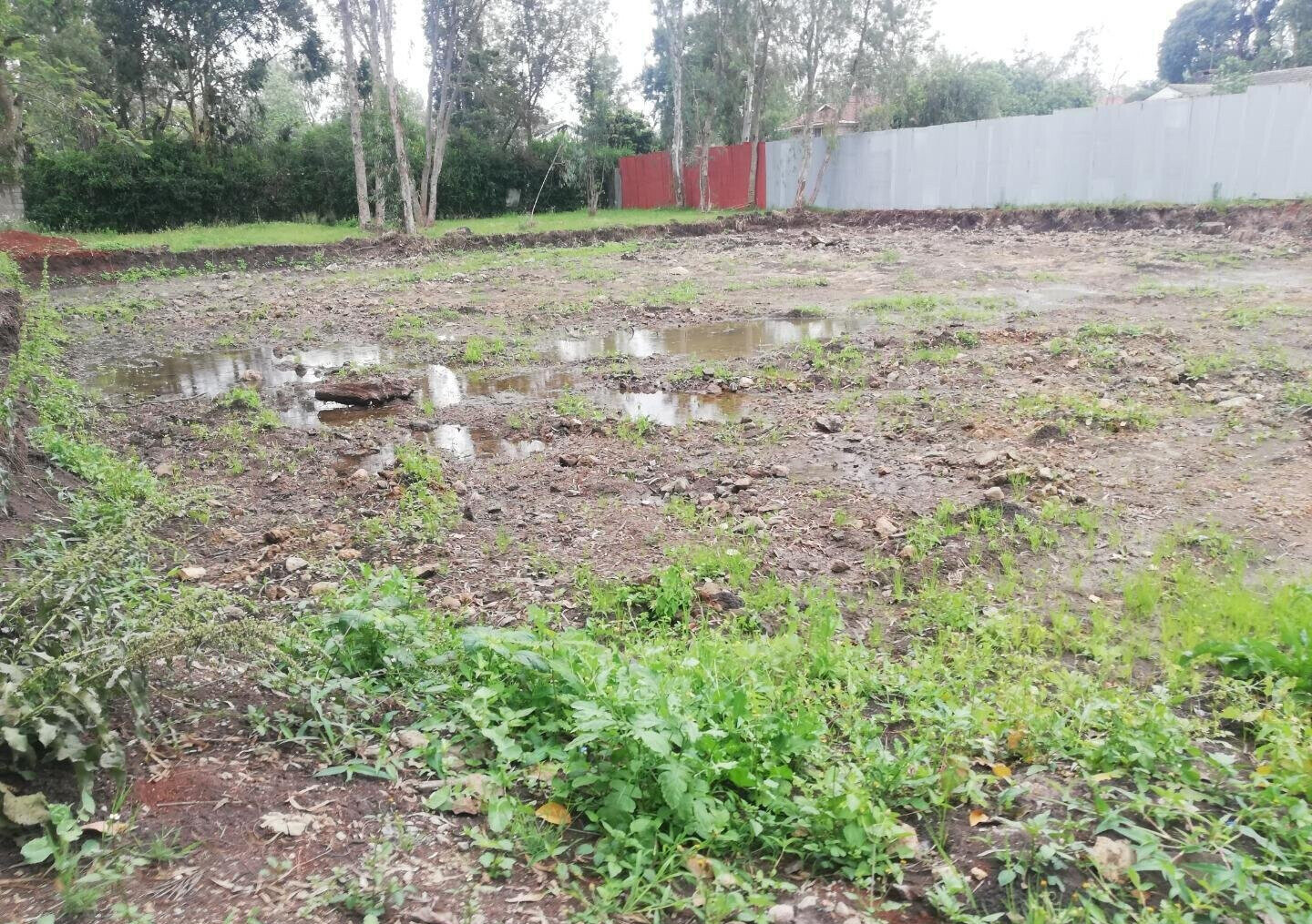Garden Oasis on 0.44 Acre