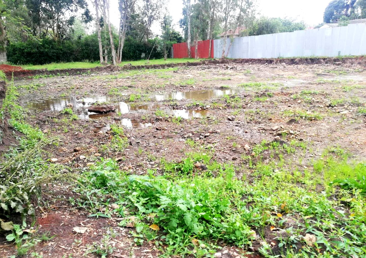Garden Oasis on 0.44 Acre