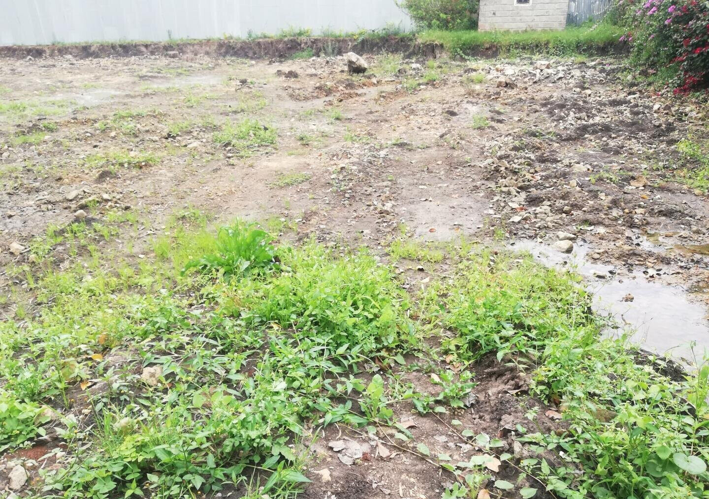 Garden Oasis on 0.44 Acre