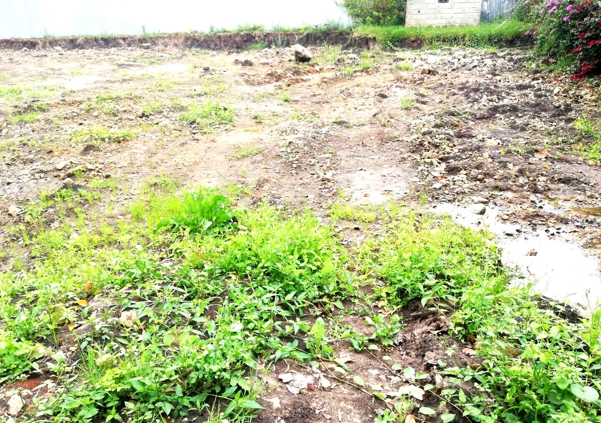 Garden Oasis on 0.44 Acre