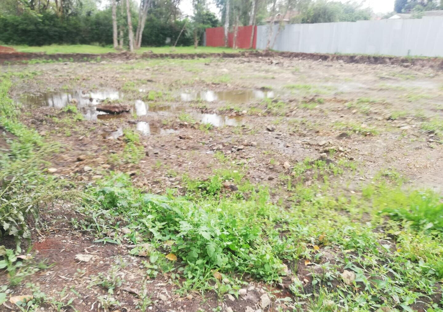 Garden Oasis on 0.44 Acre
