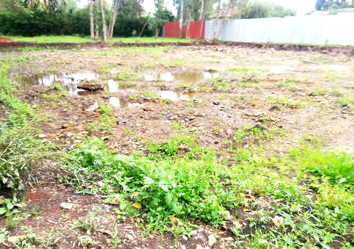Garden Oasis on 0.44 Acre