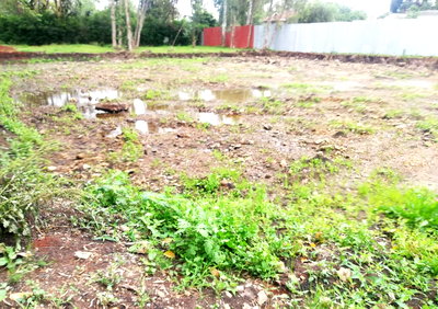 Garden Oasis on 0.44 Acre