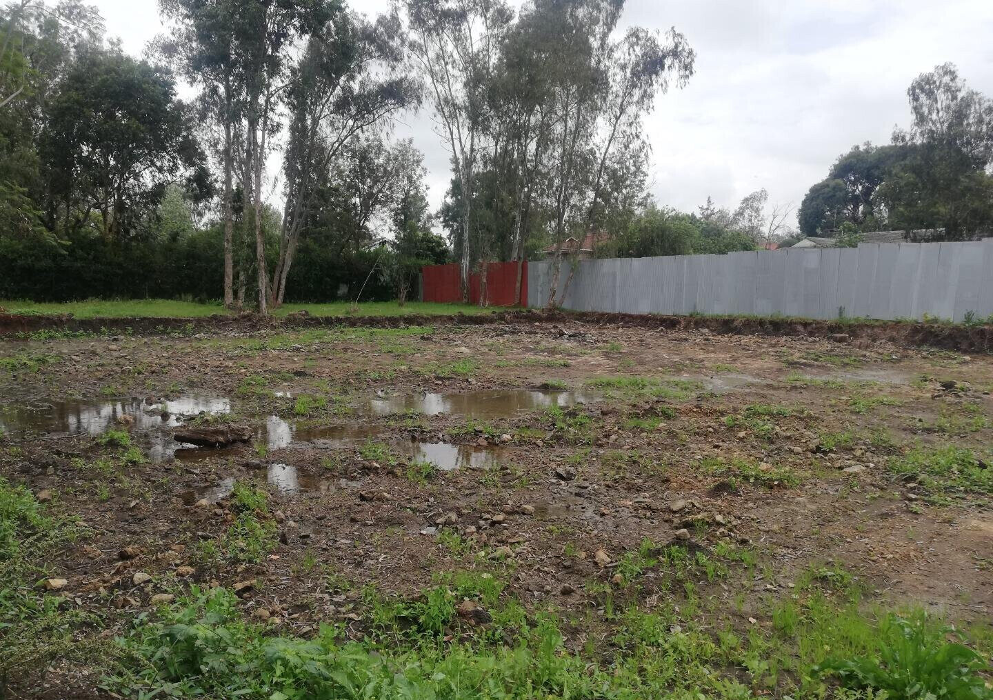 Garden Oasis on 0.44 Acre