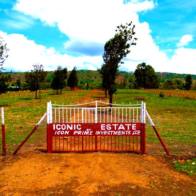 Plots for Sale Kikuyu [50*100]Thigio - Image 5