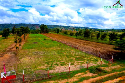 Plots for Sale Kikuyu [50*100]Thigio - Image 3