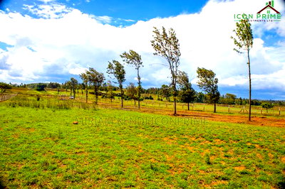 Plots for Sale Kikuyu [50*100]Thigio - Image 4