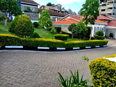 Prime Commercial Quarter Acre With a Bungalow in Ngong CBD - Image 2