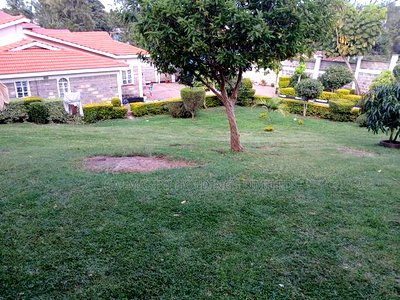 Prime Commercial Quarter Acre With a Bungalow in Ngong CBD - Image 4