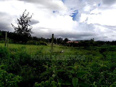 Large Eighth Acre (60*100) Plot in Ngong Along Maragara Road - Image 3
