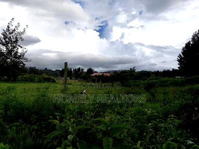 Large Eighth Acre (60*100) Plot in Ngong Along Maragara Road - Image 2