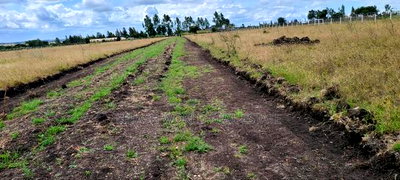 Grab a Piece of Land in Kitengela for Ksh1.49 Million. - Image 2